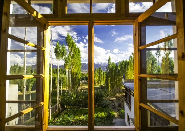 Cost of Wood Window Replacement in Valparaiso